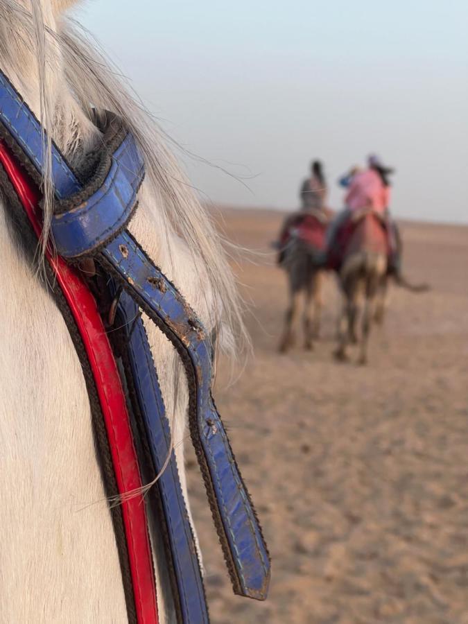 Pyramids Top Success Result Le Caire Extérieur photo